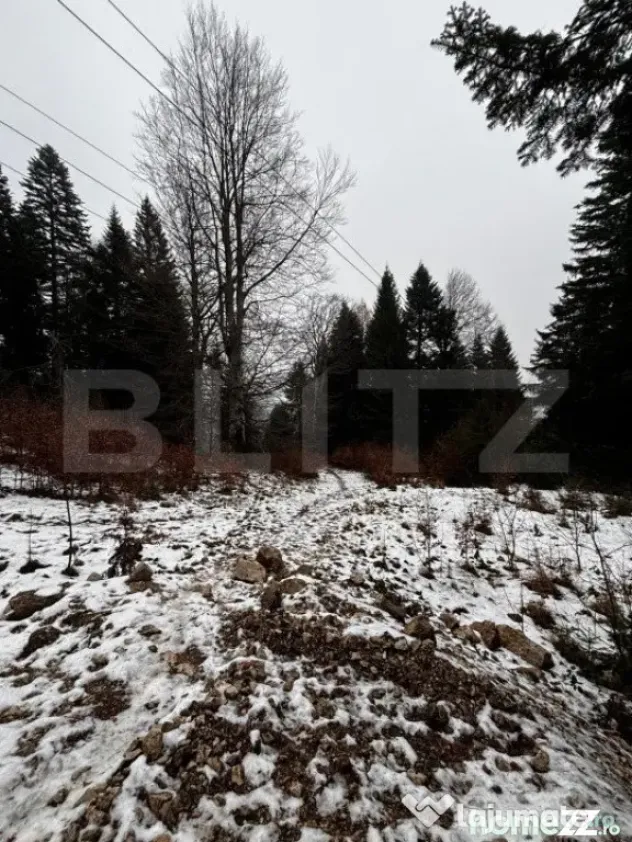 Teren unic, exclusivist 4000 mp, in inima muntilor, Sinaia - Sinaia (Prahova)