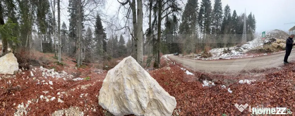 Teren unic, exclusivist 4000 mp, in inima muntilor, Sinaia - Sinaia (Prahova)