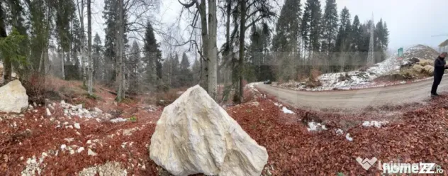 Teren unic, exclusivist 4000 mp, in inima muntilor, Sinaia - Sinaia (Prahova)