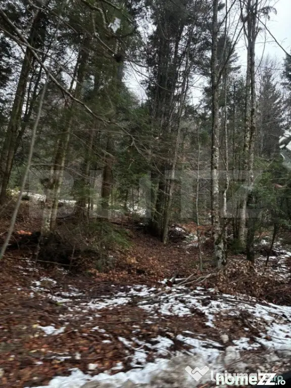 Teren unic, exclusivist 4000 mp, in inima muntilor, Sinaia - Sinaia (Prahova)
