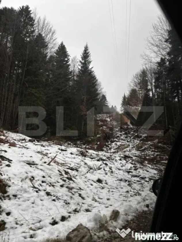 Teren unic, exclusivist 4000 mp, in inima muntilor, Sinaia - Sinaia (Prahova)