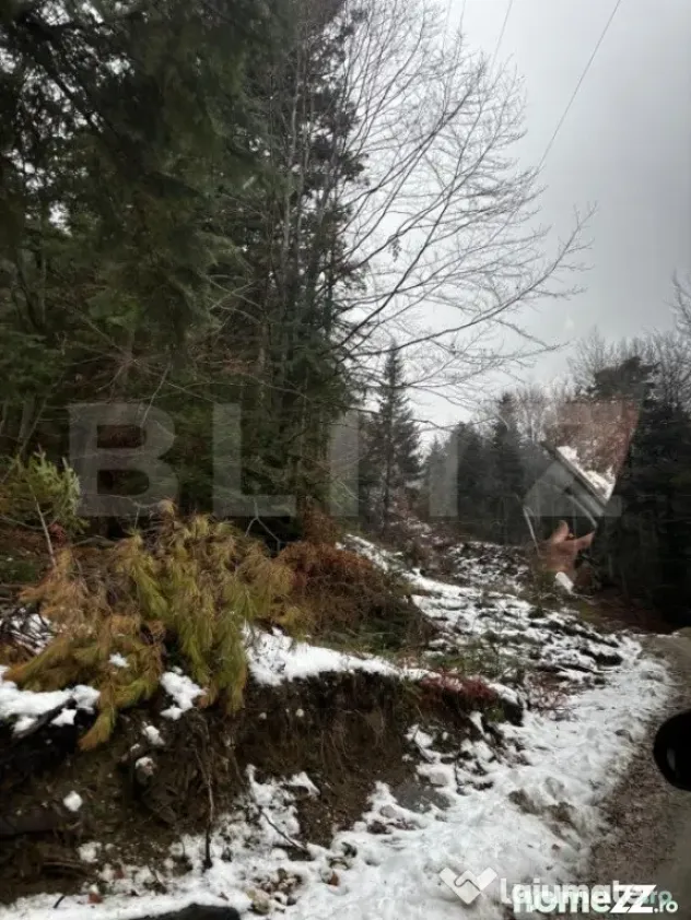 Teren unic, exclusivist 4000 mp, in inima muntilor, Sinaia - Sinaia (Prahova)