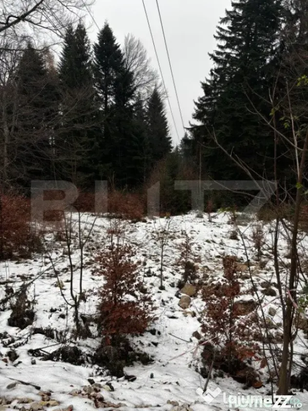 Teren unic, exclusivist 4000 mp, in inima muntilor, Sinaia - Sinaia (Prahova)