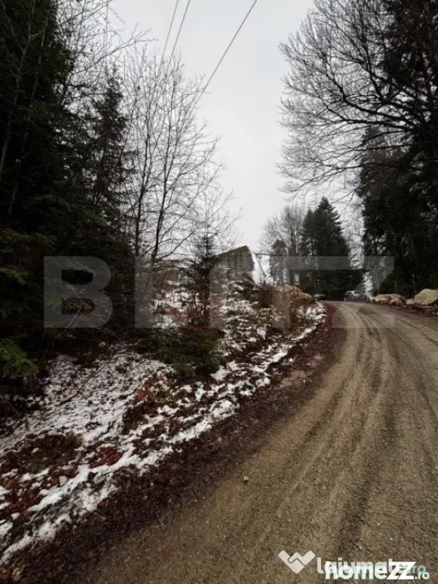 Teren unic, exclusivist 4000 mp, in inima muntilor, Sinaia - Sinaia (Prahova)