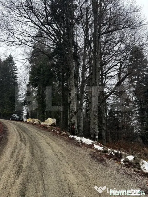 Teren unic, exclusivist 4000 mp, in inima muntilor, Sinaia - Sinaia (Prahova)