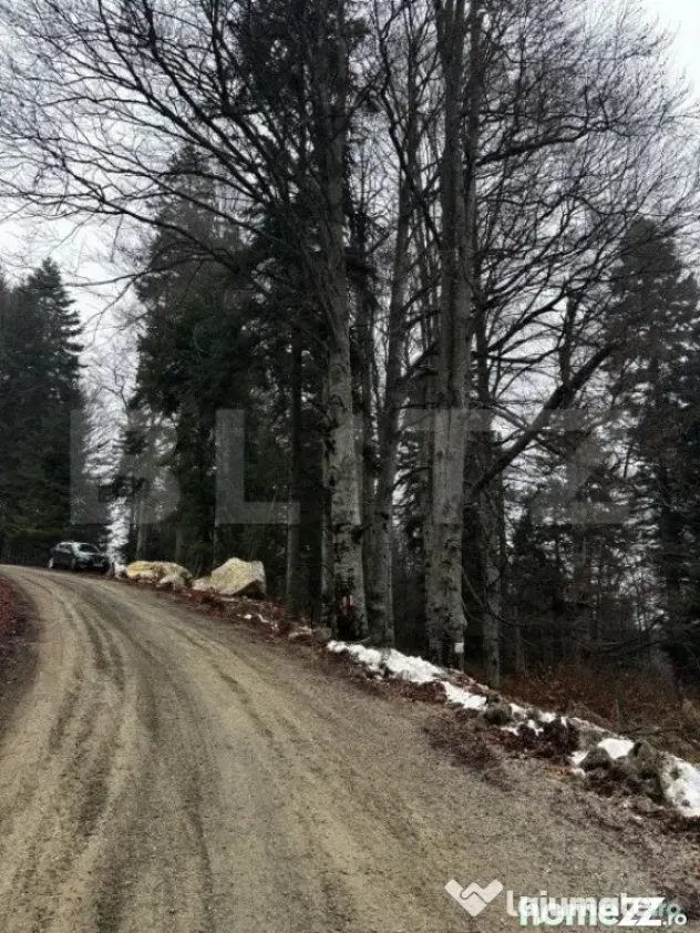 Teren unic, exclusivist 4000 mp, in inima muntilor, Sinaia - Sinaia (Prahova)