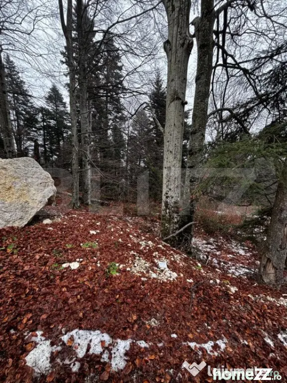 Teren unic, exclusivist 4000 mp, in inima muntilor, Sinaia - Sinaia (Prahova)
