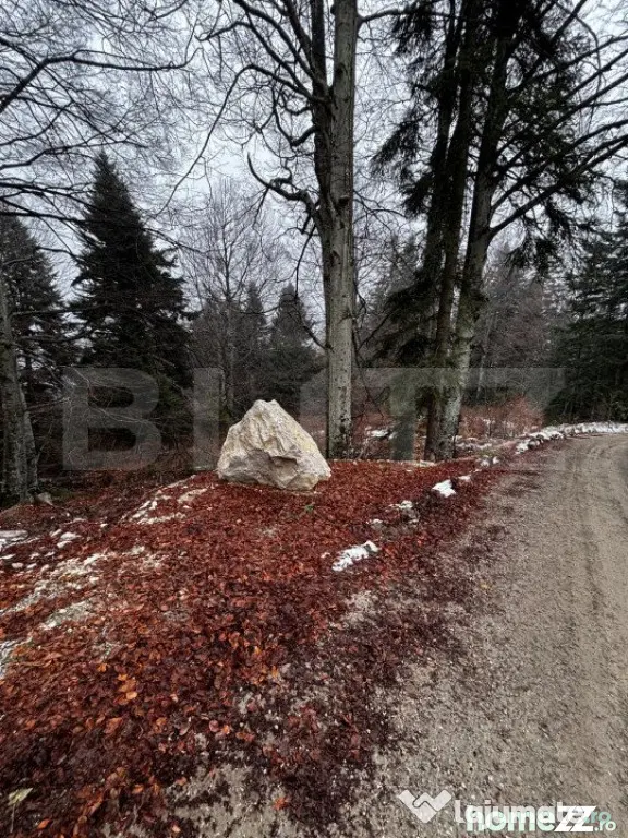 Teren unic, exclusivist 4000 mp, in inima muntilor, Sinaia - Sinaia (Prahova)