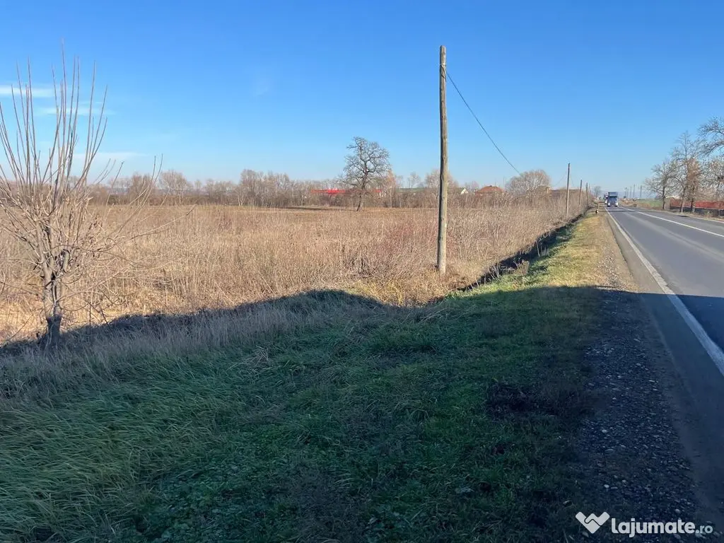 Teren intravilan, Săcădat, 27 921 mp. 9,5 Euro/mp. Comi...