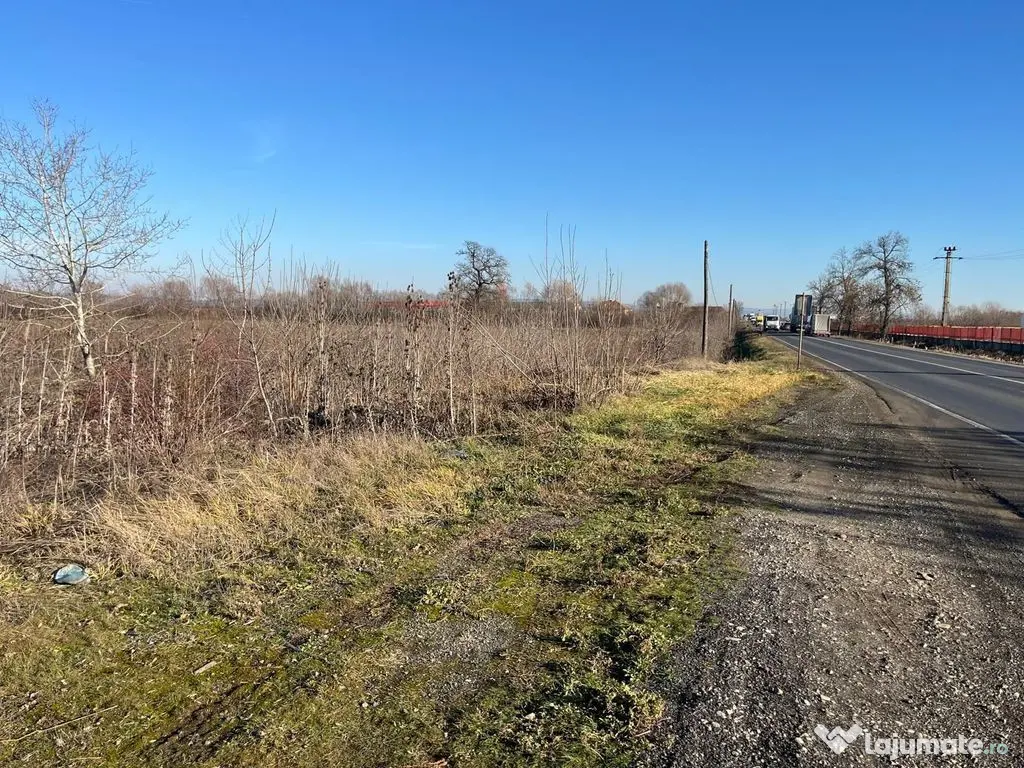 Teren intravilan, Săcădat, 27 921 mp. 9,5 Euro/mp. Comi...