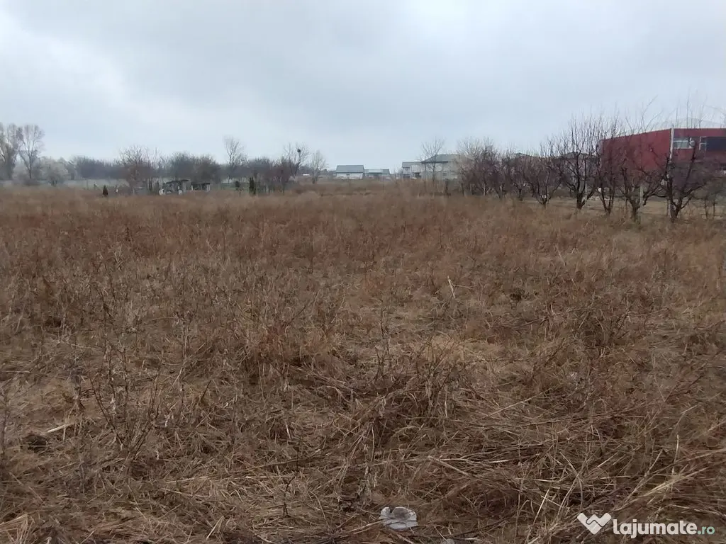 Teren investiție Km 5- Vila Cucoanei