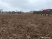 Teren investiție Km 5- Vila Cucoanei 