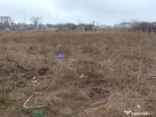 Teren investiție Km 5- Vila Cucoanei 