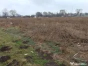 Teren investiție Km 5- Vila Cucoanei 