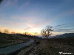 Fragilor, 8 ari -1ha teren