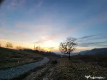 Fragilor, 8 ari -1ha teren