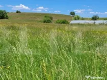 Oportunitate investitie-teren intravilan Harman/Podu Oltului