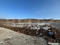 Teren intravilan de vanzare, 550 mp, zona Leoni