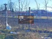 Teren Statia Meteo Balcescu/ 2 loturi de 5000 mp /Tecuci 