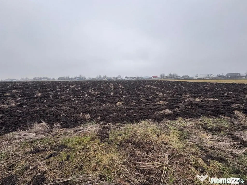 Teren intravilan, 3800mp , Fratautii vechi
