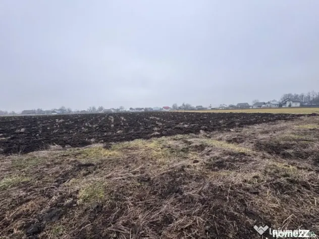 Teren intravilan, 3800mp , Fratautii vechi
