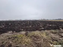 Teren intravilan, 3800mp , Fratautii vechi