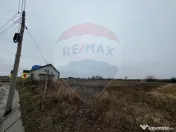 Teren intravilan 2,146 mp Carligele / Strada Vinului 