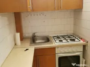 Garsonieră Buziașului 