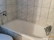 Garsonieră Buziașului 