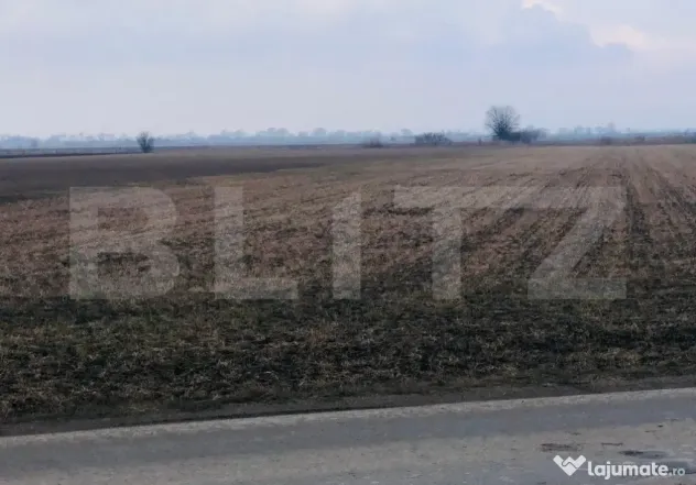 Teren extravilan de vânzare, 30.000 mp, cu potential de con