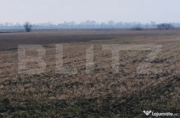 Teren extravilan de vânzare, 30.000 mp, cu potential de con