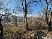 Teren intravilan de vanzare, 17700 mp Zalau
