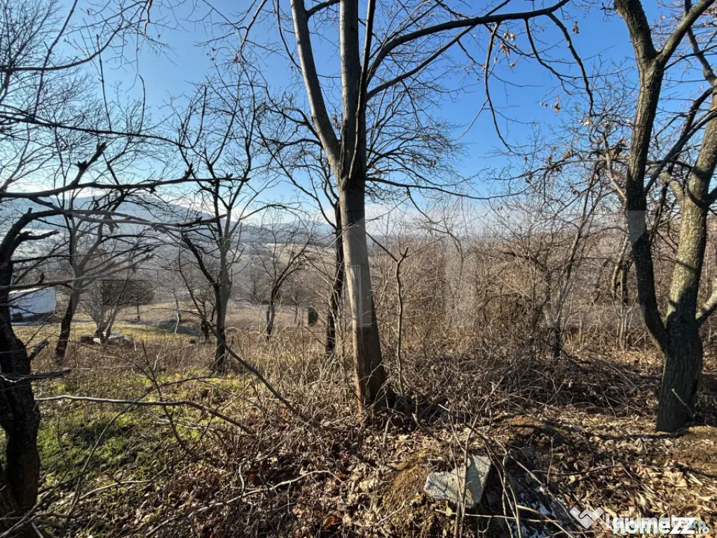 Teren intravilan de vanzare, 17700 mp Zalau - Zalau (Salaj)