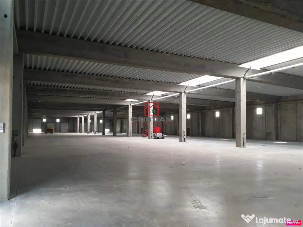 Depozit/spatiu industrial/hala Chitila - Rudeni, ILFOV
