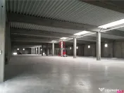 Depozit/spatiu industrial/hala Chitila - Rudeni, ILFOV 