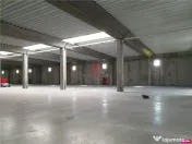 Depozit/spatiu industrial/hala Chitila - Rudeni, ILFOV 