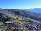 OPORTUNITATE DE INVESTITIE, TEREN 8630 MP, CALIMANESTI 