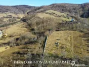 OPORTUNITATE DE INVESTITIE, TEREN 8630 MP, CALIMANESTI 