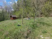 Casa imbratisata de padure - Valea Ursului, Bascov 