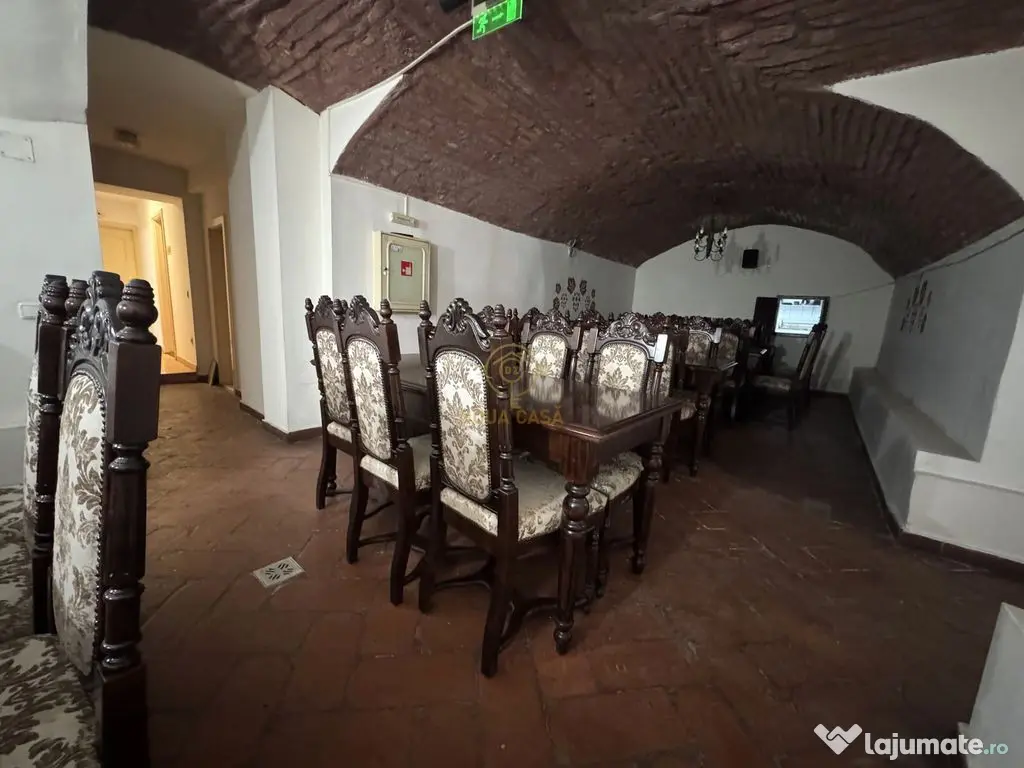 De inchiriat 2 Spatii Ultracentrale in Satu Mare