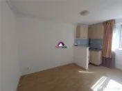 Garsoniera Baicului/Doamna Ghica 