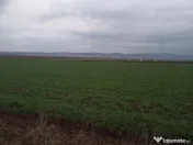 De vânzare terenuri intravilane între Chilieni si Ozun 