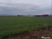 De vânzare terenuri intravilane între Chilieni si Ozun 