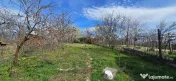 Casa de vanzare, zona str.Ecaterina Teodoroiu/Dealurile Oradiei