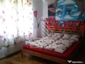 Casa individualapretabil pensiune pe Clisura Dunarii