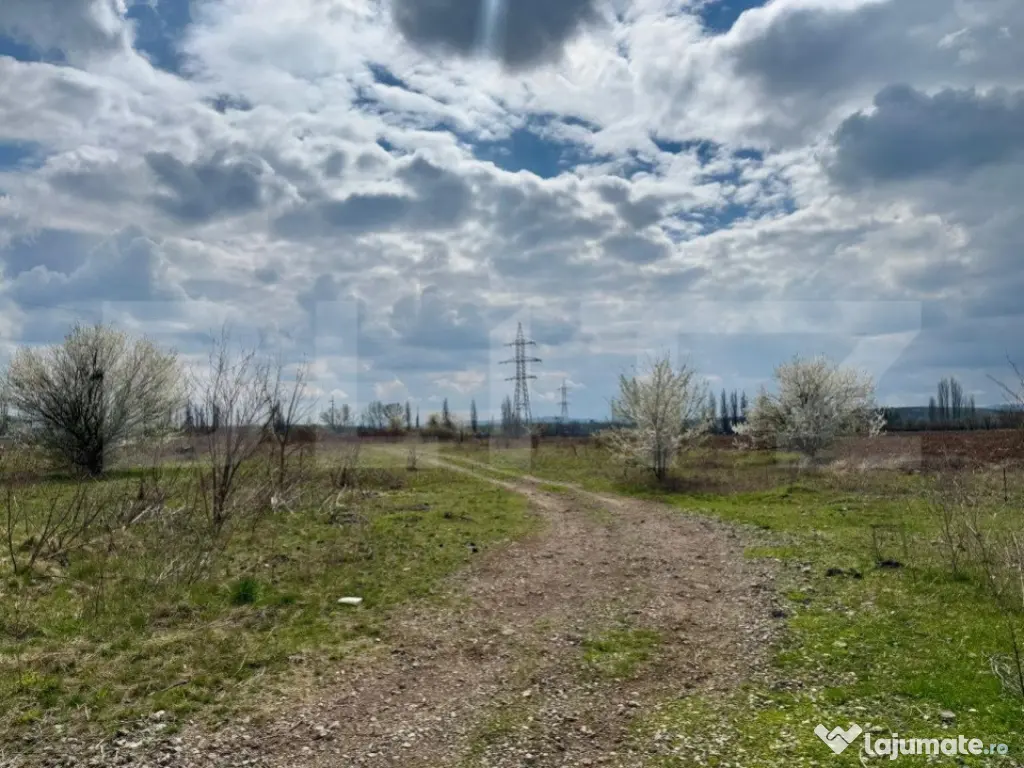 Teren Intravilan de vanzare, 7800 mp, zona Simeria