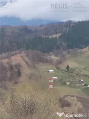 Teren, Zona de Interes Turistic-Cheile Gradistei, 8800mp 