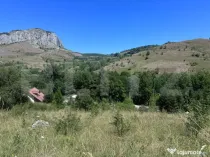 Teren extravilan,6000 mp,Valisoara