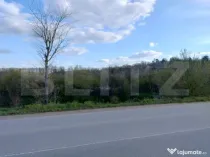 Teren padure 10 ha, extravilan, 400 ml deschidere, stradal,