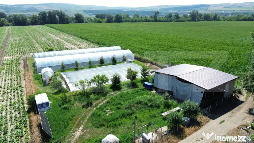 Teren extravilan 14.000 mp, Drâmbar – Ciugud | solarii, f - Alba Iulia (Alba)